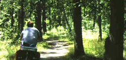 cykla på Söderåsen